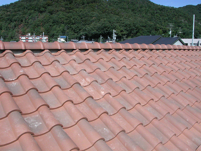 img_roof002_003